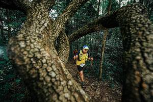 BIB: 
                            <button type="button" onclick="openModal(25393719)" class="btn btn-primary btn-sm float-right btn-popup" data-toggle="modal" data-target=".modal-high-quality">
                        <i class="fas fa-shopping-cart"></i> Add to Cart
                    </button>
                                            <button type="button" onclick="isThisMe(25393719, true)" class="btn btn-success btn-sm float-right btn-popup btn-isme hidden" data-toggle="tooltip" data-placement="bottom" title="นี่คือรูปของคุณใช่ไหม คลิกที่นี่เพื่อเอาเข้าอัลบั้ม">
                        <i class="fas fa-plus"></i> Add to album
                    </button>
                    <button type="button" onclick="isThisMe(25393719, false)" class="btn btn-warning btn-sm float-right btn-popup btn-isnotme hidden">
                        <i class="fas fa-ban"></i> Remove from album
                    </button>